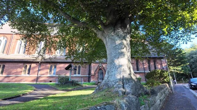 Fast tracking shot of London brick church and large tree on sunny morning