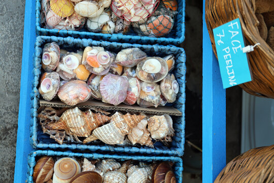 Sale of seashells on the island of Symi, Greece.