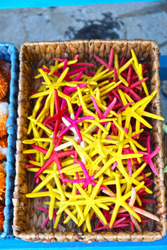 Sale of sea souvenirs on the island of Symi, Greece.