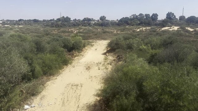 Netanya, Israel. Nahal Poleg Nature Reserve with sandy dunes and sparse vegetation, showing the natural coastal landscape of central Israel.