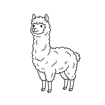 Cute cartoon llama vector line art drawing featuring woolly body details and adorable facial expression perfect for children coloring books and nursery decorations.