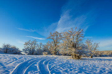 Landscape near Hnanice, NP Podyji, Southern Moravia, Czech Republic © Richard Semik