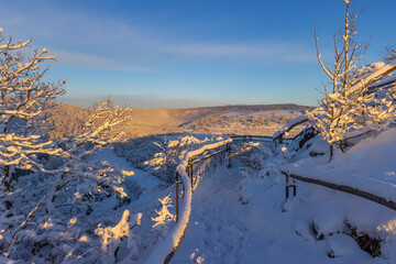 Nine Mills Viewpoint near Hnanice, NP Podyji, Southern Moravia, Czech Republic © Richard Semik