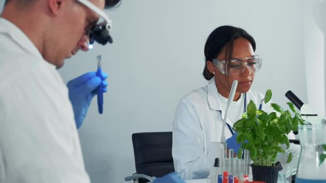 A Black female microbiologist wearing safety glasses examines a plant leaf under a microscope while her male colleague observes in a biology laboratory.