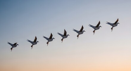 Obraz premium Seven origami paper birds flying in a diagonal formation against a soft sunset sky at dusk