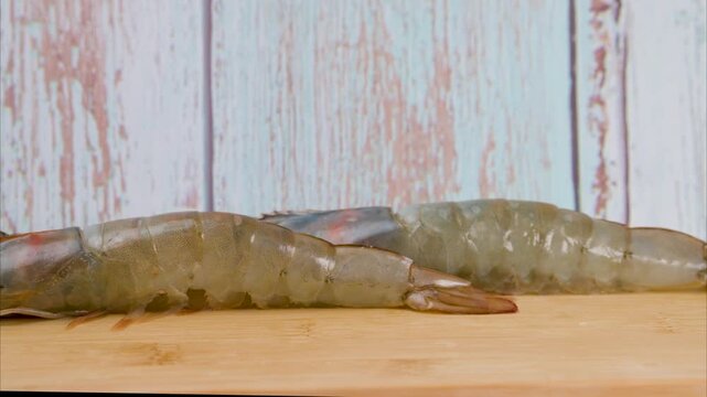 video of the biggest shrimp