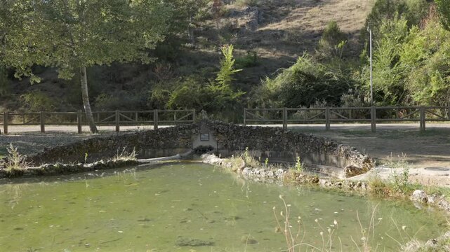 Quiet Green Pond and Rustic Stone Bridge in a Woodland Park