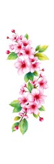 Obraz premium Watercolor wreath of cherry blossoms and leaves, illustration, decorative