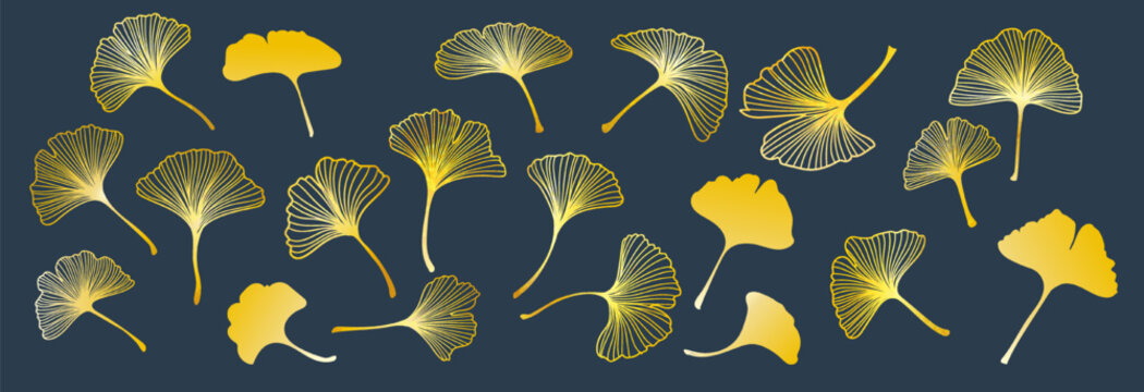 Gold ginkgo leaf set. Asian background. Ornate poster. Japanese flower, abstract luxury for modern spa. Oriental Chinese modern decorative frame. Elegant textile. Vector print isolated illustration