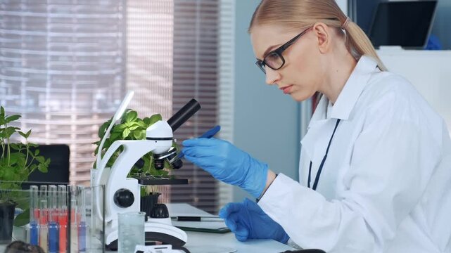 A female scientist wearing a lab coat and gloves is examining materials at a cluttered laboratory bench filled with scientific equipment and plants during daytime.