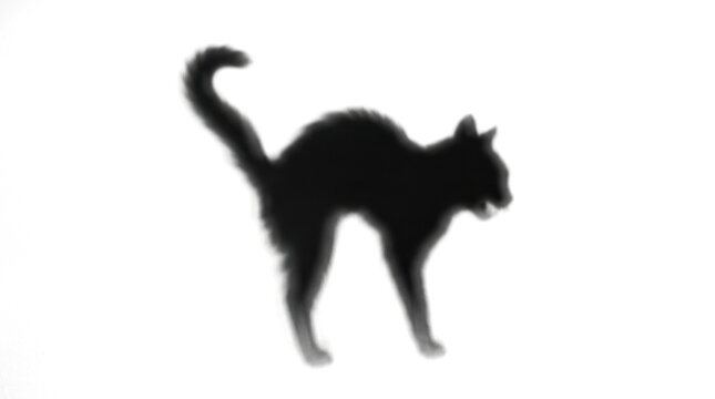 Black Cat Silhouette Arched Back Halloween Spooky Isolated