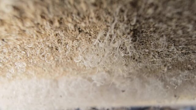 Macro view of white mineral salt efflorescence deposits and crystalline fibers growing along concrete wall joints due to moisture damage.