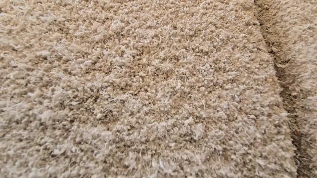 A detailed macro close-up video of wall paint bubbling and flaking due to salt efflorescence and moisture damage, creating a rough crystalline texture on an indoor surface.