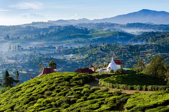 A temple perched on a mountain, surrounded by the lush tea plantations of Nuwara Eliya, Sri Lanka.