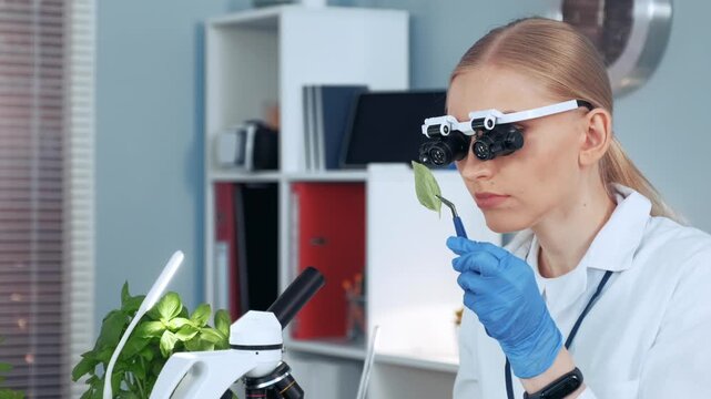 A female scientist wearing magnifying eyeglasses and gloves examines a green leaf sample with a probe in a well-equipped indoor laboratory setting.