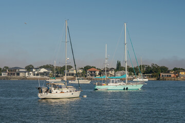 Obraz premium White and turquoise sailboats float on calm blue water near Saint Augustine, Florida. Waterfront homes and tropical trees line the distant shoreline behind the anchored vessels.