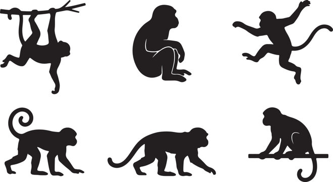 Set of black monkey silhouettes in various standing and sitting poses on white background