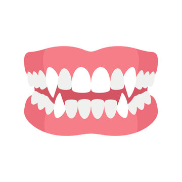 Vampire fangs vector illustration with sharp teeth and pink gums