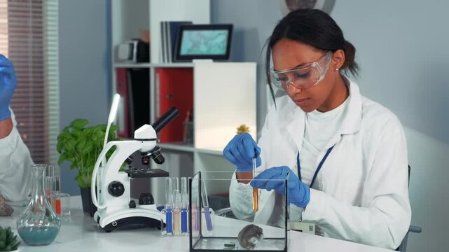 A Black female scientist wearing a lab coat and safety glasses uses a pipette to add yellow liquid to a container with a mouse in a well-equipped laboratory.