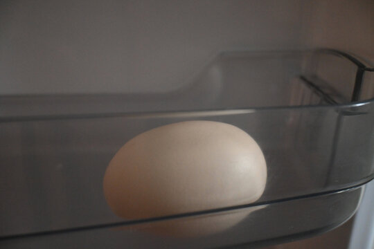 Single egg stored in a refrigerator