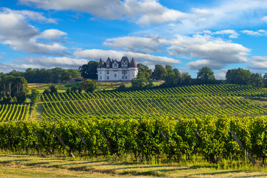 Chateau Monbazillac ( Monbazillac castle) with vineyards, Aquitaine, France