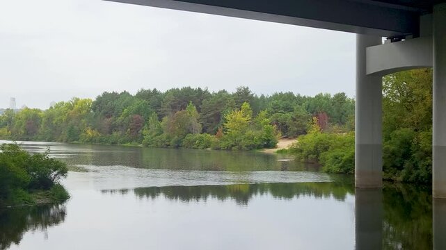 Lake Bay Forest Rain Trees Autumn Water Nature Overcast Landscape Calm Tranquil Countryside Scenic