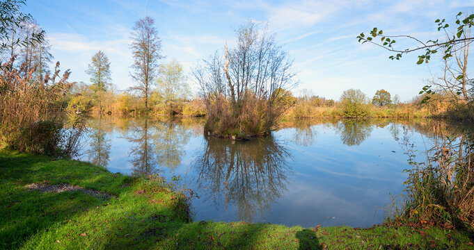 small pond Weitmoosweiher, landscape in the area of Bad Feilnbach, upper bavaria