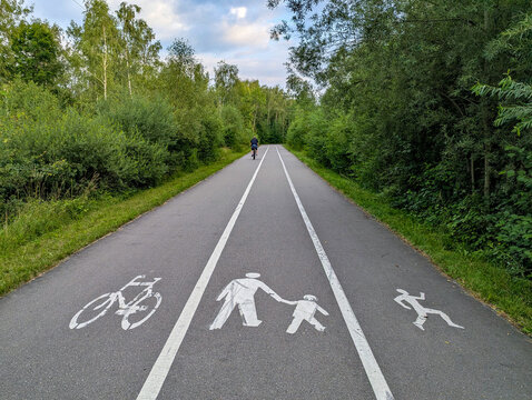 Bicyclist riding on paved shared path with painted bicycle and pedestrian symbols, dense green trees and shrubs, lane markings and blue sky in outdoor transport scene