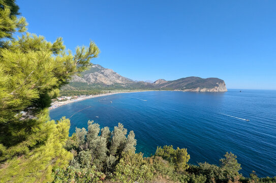 Bright sunlit panoramic coastal bay with pine forest foreground, sweeping curved sandy beach, deep blue sea, rocky headland and distant low mountains under clear sky