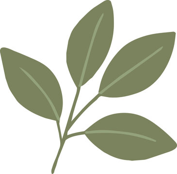 A minimalist flat vector illustration of an olive green botanical branch with four elongated leaves and subtle vein details.