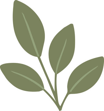 A minimalist flat vector illustration of four olive green leaves arranged on delicate stems with subtle light vein details.