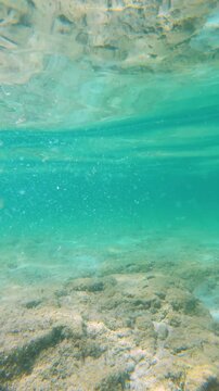 Vertical camera transition from above the surface into the clear Mediterranean waters of Lido di Alghero, Sardinia, revealing the underwater environment.