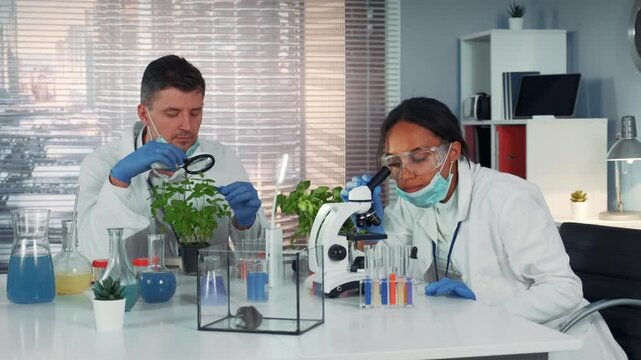 A man and woman scientists wearing lab coats and masks examine a potted plant and microscope samples in a modern indoor research laboratory setting.