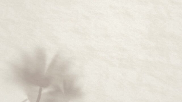 Plant shadow overlay moving on white textured paper background 4K