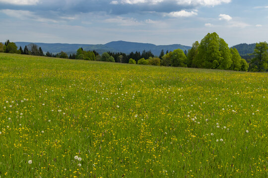 Typicallandscape near Modrava, Nation park Sumava, Czech Republic