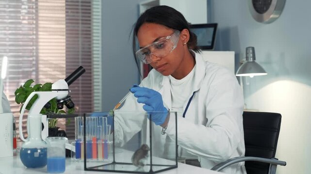 Black female scientist wearing safety glasses and gloves administering medicine to a lab mouse in a professional scientific laboratory setting during daytime.