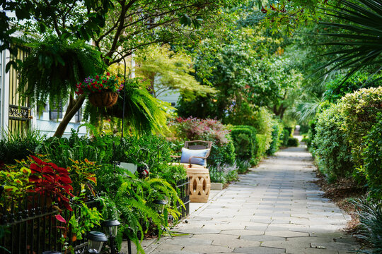 A quiet street with lush landscaping in the downtown Wilmington historic district