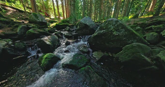 Static nature shot of a clear mountain stream flowing over moss-covered rocks through a peaceful coniferous forest, with authentic natural sounds of gently rushing water.