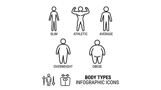 Minimalist body types infographic icons, human physique silhouettes for slim athletic and obese categories, black line art male figure set