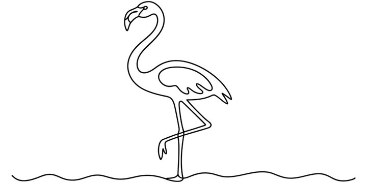 Continuous single line drawing of a flamingo standing on one leg Vector, illustration