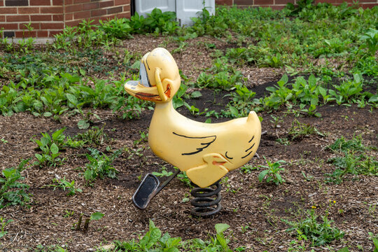 Nostalgic, weathered yellow duck spring rider, a classic playground toy with chipped paint, standing in a slightly overgrown park area, evoking childhood memories and simpler times outdoors.