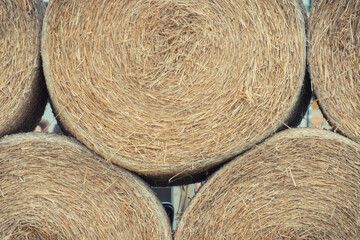 Bales of hay or straw. Background or wallpaper texture © ratmaner