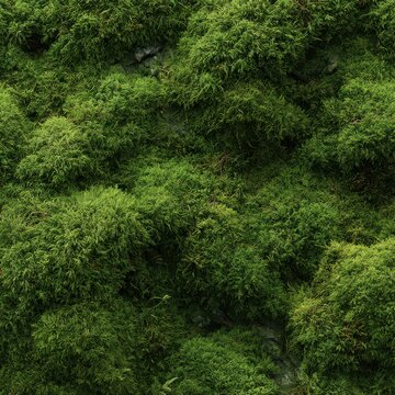 Vibrant green moss densely covering rough stone surface in nature