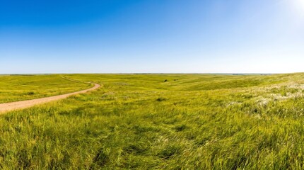 Obraz premium Dirt road curves through lush green prairie hills under a clear sky