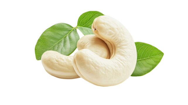 Two cashew nuts with green leaves isolated on a transparent background