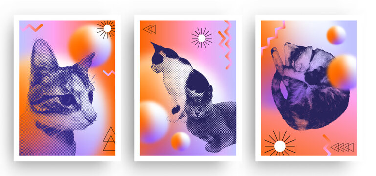 Set of cats with a halftone effect in retro style background featuring a diffused, grainy gradient texture. Adorable pet posters with a vintage dotted photocopy effect. Vector illustration.