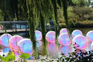 colorful iridescent balls in water  © Christine Donnelly