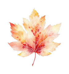 Obraz premium PNG Watercolor autumn maple leaf transparent isolated illustration