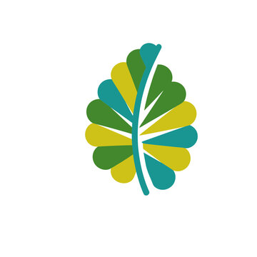 Stylized leaf logo with green, yellow, and teal colors