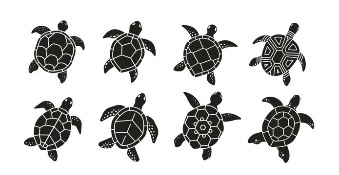 Collection of eight unique sea turtle silhouettes on white background